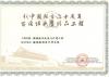 2009新中國成立六十百項經(jīng)典精品工程證書